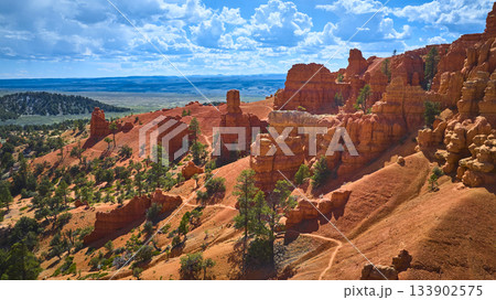 Aerial Red Canyon Hoodoos Trail and Pine Trees in Utah 133902575