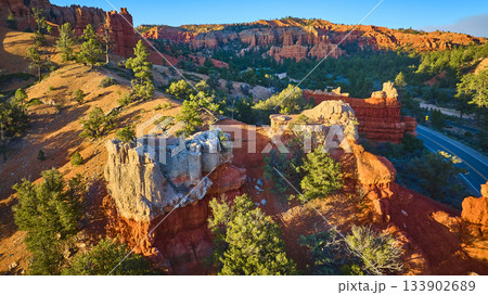 Aerial Red Canyon Hoodoo Formations and Pine Trees in Utah at Sunrise 133902689