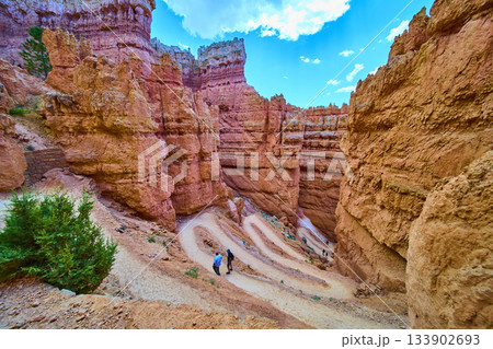Bryce Canyon Wall Street Navajo Loop Trail Switchbacks and Hoodoo Cliffs Utah 133902693