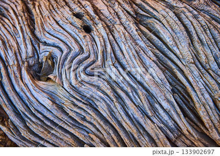 Weathered Wood Texture With Deep Bark Grooves And Organic Patterns Close Up 133902697