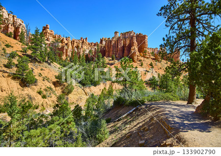 Bryce Canyon Hoodoos and Pine Trees Along Mossy Cave Trail Under Blue Sky 133902790
