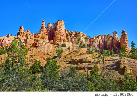 Bryce Canyon Hoodoo Formations and Pine Trees Under Clear Blue Utah Sky Bryce Canyon Hoodoo Formations and Pine Trees Under Clear Blue Utah Sky 133902860