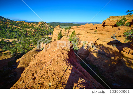 Red Canyon Sandstone Formations and Pine Trees Under Blue Sky Utah Landscape Red Canyon Sandstone Formations and Pine Trees Under Blue Sky Utah Landscape 133903061