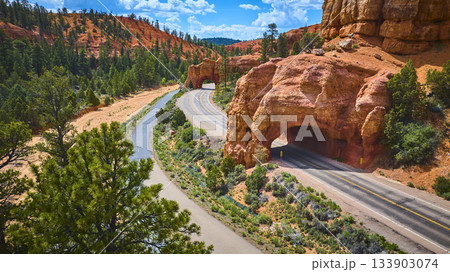 Aerial Red Canyon Tunnels Scenic Highway and Pine Forest Utah Aerial Red Canyon Tunnels Scenic Highway and Pine Forest Utah 133903074