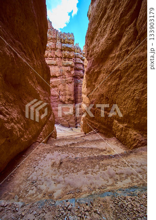 Bryce Canyon Wall Street Switchback Trail with Red Rock Formations and Canyon Walls Bryce Canyon Wall Street Switchback Trail with Red Rock Formations and Canyon Walls 133903179