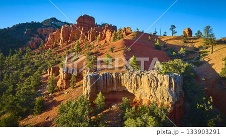Aerial Red Canyon Hoodoos and Pine Trees in Utah Sunlight Aerial Red Canyon Hoodoos and Pine Trees in Utah Sunlight 133903291