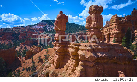 Red Canyon Hoodoo Rock Formations and Pine Trees in Utah Landscape Red Canyon Hoodoo Rock Formations and Pine Trees in Utah Landscape 133903423