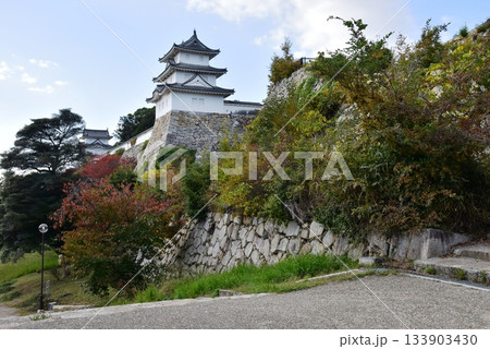 兵庫県 明石城(明石公園)の巽櫓(たつみやぐら)と坤櫓(ひつじさるやぐら)と石垣と東側階段 兵庫県 明石城(明石公園)の巽櫓(たつみやぐら)と坤櫓(ひつじさるやぐら)と石垣と東側階段 133903430