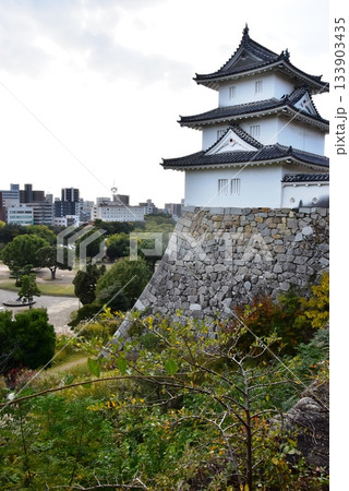 兵庫県 明石城(明石公園)の巽櫓(たつみやぐら)と石垣と明石の街並み 兵庫県 明石城(明石公園)の巽櫓(たつみやぐら)と石垣と明石の街並み 133903435