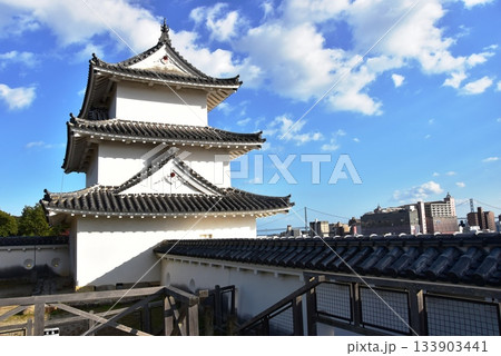兵庫県　明石城（明石公園）の巽櫓（たつみやぐら）と眺望 133903441