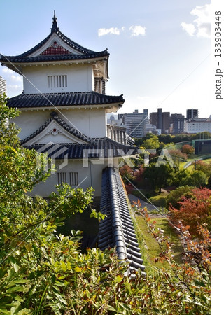 兵庫県　明石城（明石公園）の坤櫓（ひつじさるやぐら）と眺望 133903448