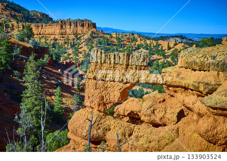 Red Canyon Natural Arch and Red Rock Formations with Pine Trees Utah Landscape 133903524
