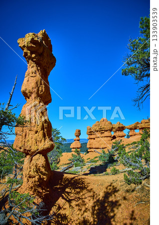 Red Canyon Hoodoo Rock Formations and Juniper Trees Under Clear Blue Sky Red Canyon Hoodoo Rock Formations and Juniper Trees Under Clear Blue Sky 133903539