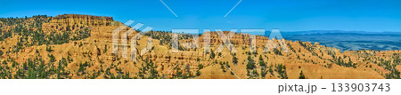 Panorama Red Canyon Sandstone Cliffs and Pine Trees Under Blue Sky Utah Panorama Red Canyon Sandstone Cliffs and Pine Trees Under Blue Sky Utah 133903743