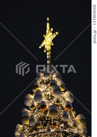 クリスマスツリー クリスマスツリー 133904008