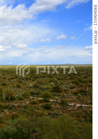 Sonoran Desert Arizona Picacho Peak State Park 133904068