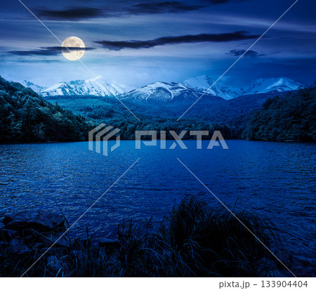 mountain lake in springtime at night. composite landscape of lake and ridge in full moon light. calm water, green forest and snow capped peaks. backdrop for fiction art or mystery concepts 133904404
