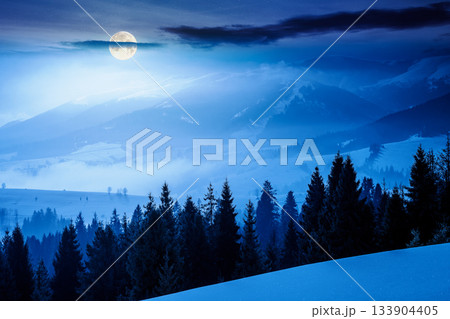 winter landscape at night. fir trees on snow covered hill in full moon light. mysterious place in mountains. winter wonderland background for photo travel. backdrop for fiction art or mystery concepts 133904405