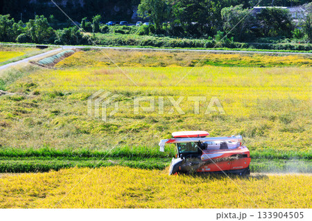 黄金色に実った稲穂とコンバインが進む秋の稲刈り、田園風景 133904505