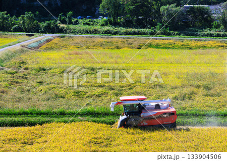 黄金色に実った稲穂とコンバインが進む秋の稲刈り、田園風景 133904506