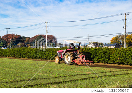 農家の畑を耕す赤いトラクター 133905047