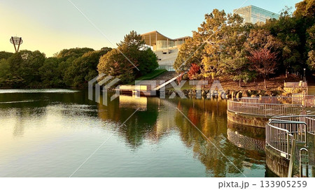 夕日に輝く岡崎市美術博物館と恩師池ほとりの紅葉〈岡崎中央総合公園/愛知県岡崎市〉 133905259