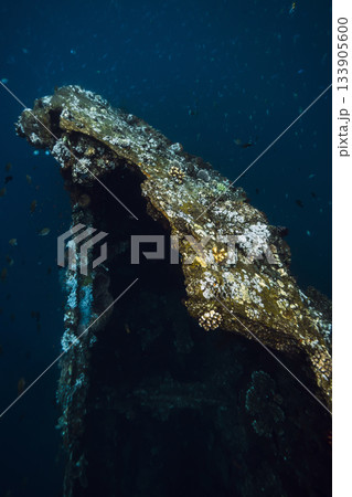 Wreck ship underwater in deep ocean 133905600