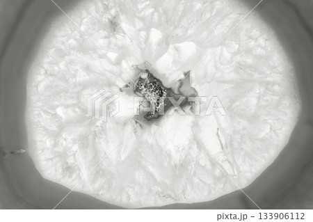 Amazing agate cut cross section. Natural crystal mineral formation. Beautiful texture macro photo background of precious stone color of 2026 year cloud white 133906112