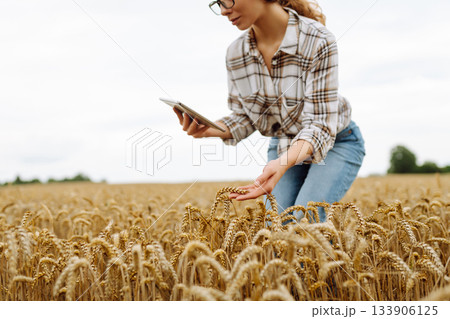 Woman farmer with digital tablet in agricultural field. Smart farm Woman farmer with digital tablet in agricultural field. Smart farm 133906125