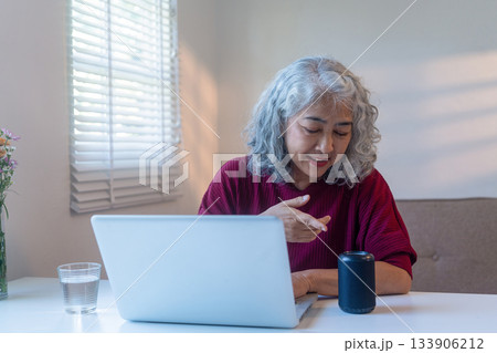 Senior Woman Talking to Smart Speaker at Home Senior Woman Talking to Smart Speaker at Home 133906212