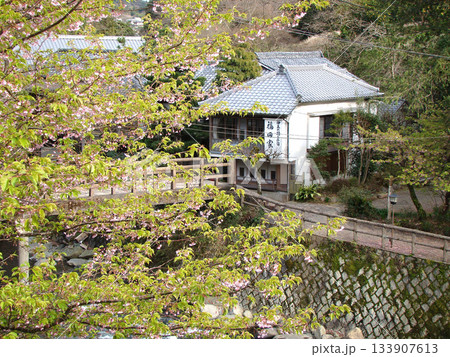 伊豆の踊子の宿 伊豆の踊子の宿 133907613