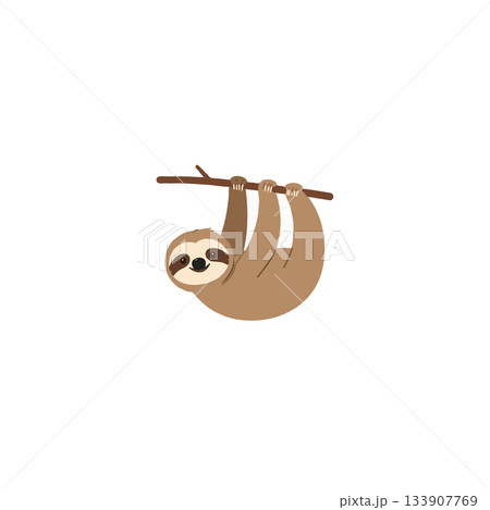 Charming vector illustration of a happy sloth clinging to a branch in its natural habitat 133907769