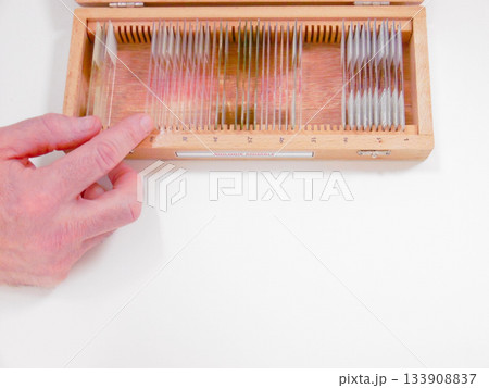 Hand Selecting Glass Slide From Wooden Box, CloseUp Of Technician Gesture Preparing Sample For Microscopy, 133908837