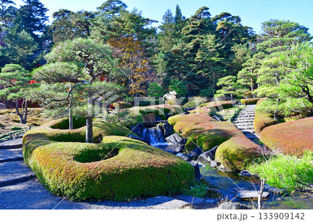 福島県 白河市 秋　南湖公園　翠楽苑　 133909142