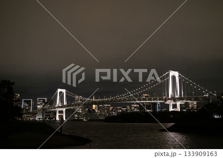 東京湾ナイトクルーズ　レインボーブリッジと東京の夜景 133909163