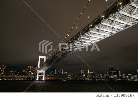 東京湾ナイトクルーズ レインボーブリッジと東京の夜景 東京湾ナイトクルーズ レインボーブリッジと東京の夜景 133909167