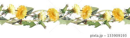 Seamless watercolor border with yellow dandelion flowers and leaves on an isolated background. Horizontal botanical illustration of wildflowers in natural tones for textiles, summer design. Seamless watercolor border with yellow dandelion flowers and leaves on an isolated background. Horizontal botanical illustration of wildflowers in natural tones for textiles, summer design. 133909193