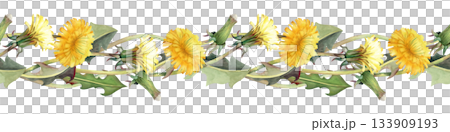Seamless watercolor border with yellow dandelion flowers and leaves on an isolated background. Horizontal botanical illustration of wildflowers in natural tones for textiles, summer design. Seamless watercolor border with yellow dandelion flowers and leaves on an isolated background. Horizontal botanical illustration of wildflowers in natural tones for textiles, summer design. 133909193