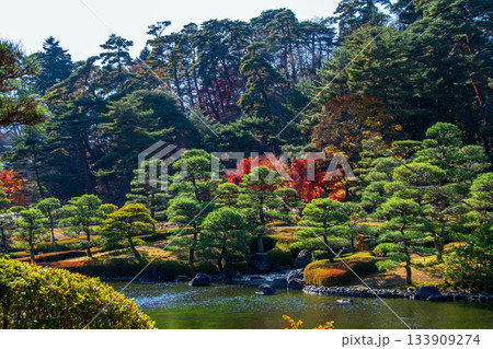 福島県 白河市 秋　南湖公園　翠楽苑　 133909274