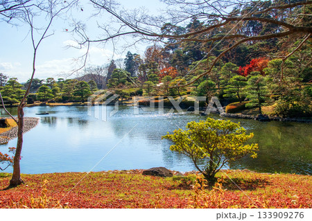 福島県 白河市 秋　南湖公園　翠楽苑　 133909276