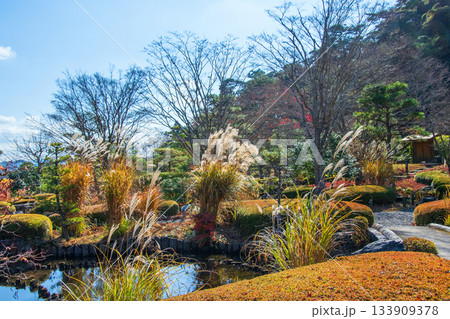 福島県 白河市 秋　南湖公園　翠楽苑 133909378