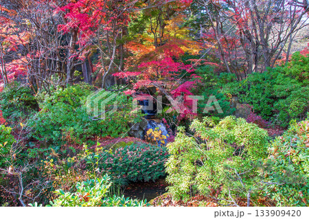 白河市　南湖公園　池泉回遊式庭園の紅葉 133909420
