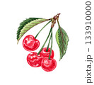 Hand drawn watercolor painting cherry on white background. Summer illustration of berries 133910000