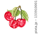 Hand drawn watercolor painting cherry on white background. Summer illustration of berries 133910001