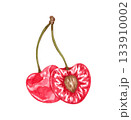 Hand drawn watercolor painting cherry on white background. Summer illustration of berries 133910002