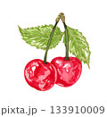 Hand drawn watercolor painting cherry on white background. Summer illustration of berries 133910009