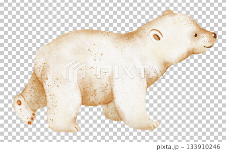 Baby polar bear walking, isolated on white background. Watercolor illustration of ursus maritimus. Hand drawn animal sketch for art, children, nature, winter, arctic. Baby polar bear walking, isolated on white background. Watercolor illustration of ursus maritimus. Hand drawn animal sketch for art, children, nature, winter, arctic. 133910246