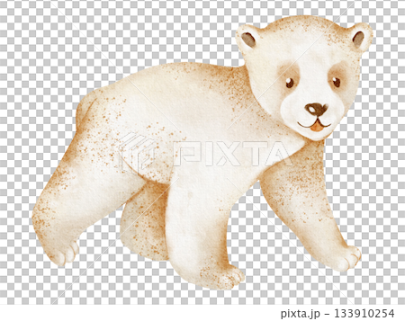 Baby polar bear walking, isolated on white background. Watercolor illustration of ursus maritimus. Hand drawn animal sketch for art, children, nature, winter, arctic. 133910254