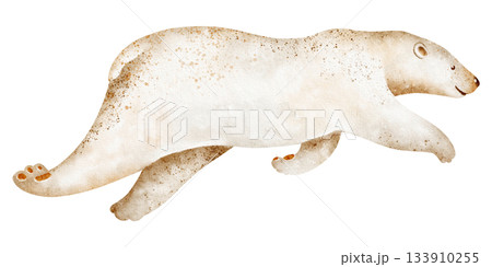 Polar bear swimming isolated on white background. Watercolor illustration of ursus maritimus. Hand drawn animal sketch for design and print, hand drawn sketch for wildlife, nature and design projects. Polar bear swimming isolated on white background. Watercolor illustration of ursus maritimus. Hand drawn animal sketch for design and print, hand drawn sketch for wildlife, nature and design projects. 133910255
