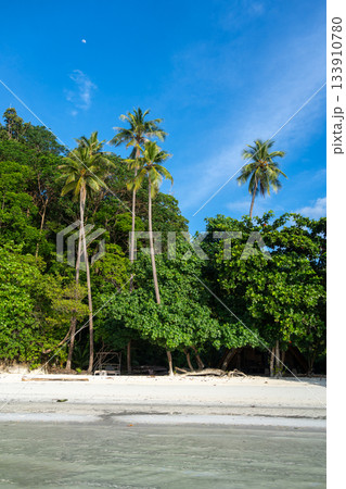 Paradise at Lia beach, Waleakodi Island, Togian archipelago, Sulawesi, Indonesia 133910780